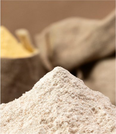 Whey Powder